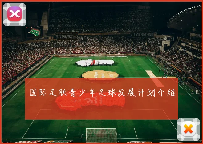 国际足联青少年足球发展计划介绍